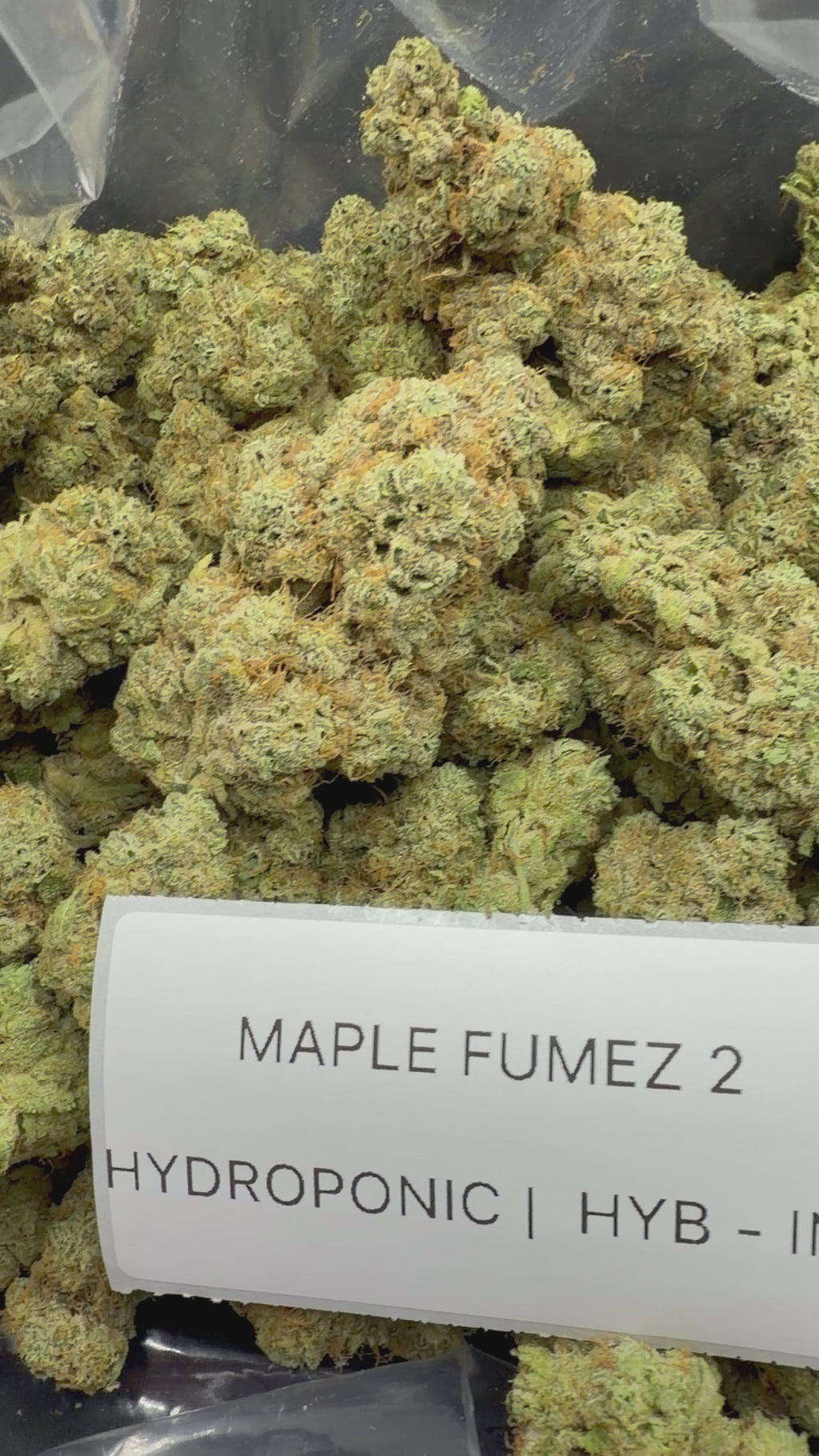 TOP SHELF EXOTICS