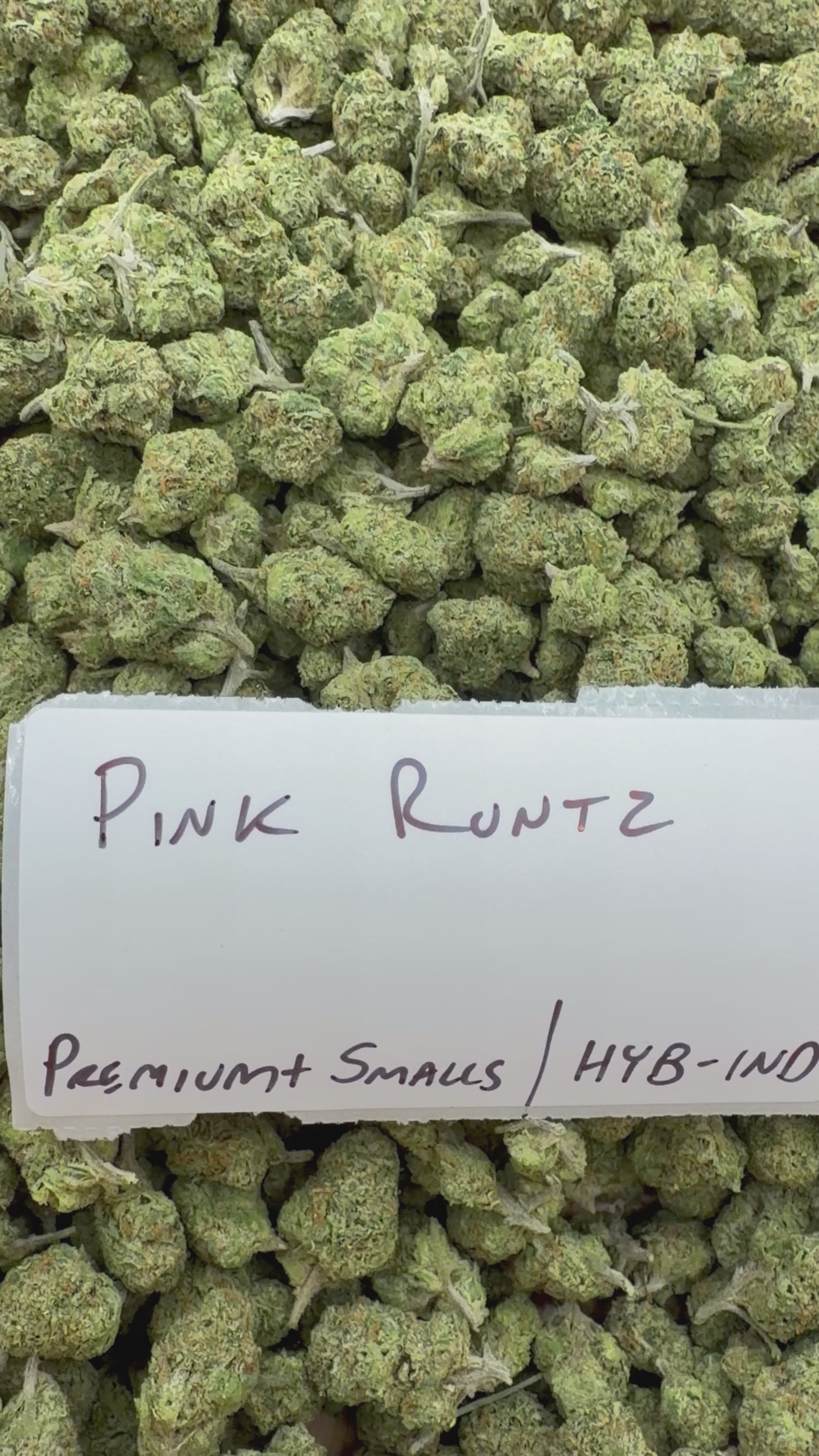 *SALE* QPSKIIIIIIS! ( NO CODE NEEDED)