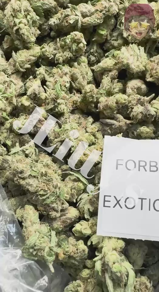 *SALE* SMALLS AND MEDIUMS