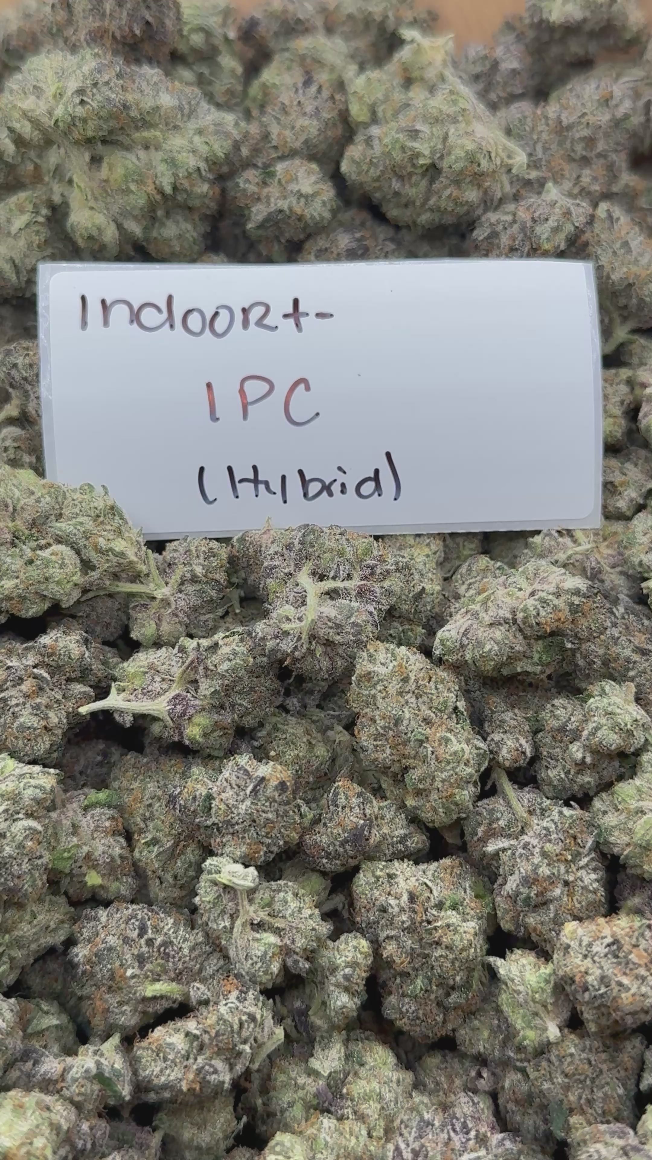 J Litty’s Weekly Deals!