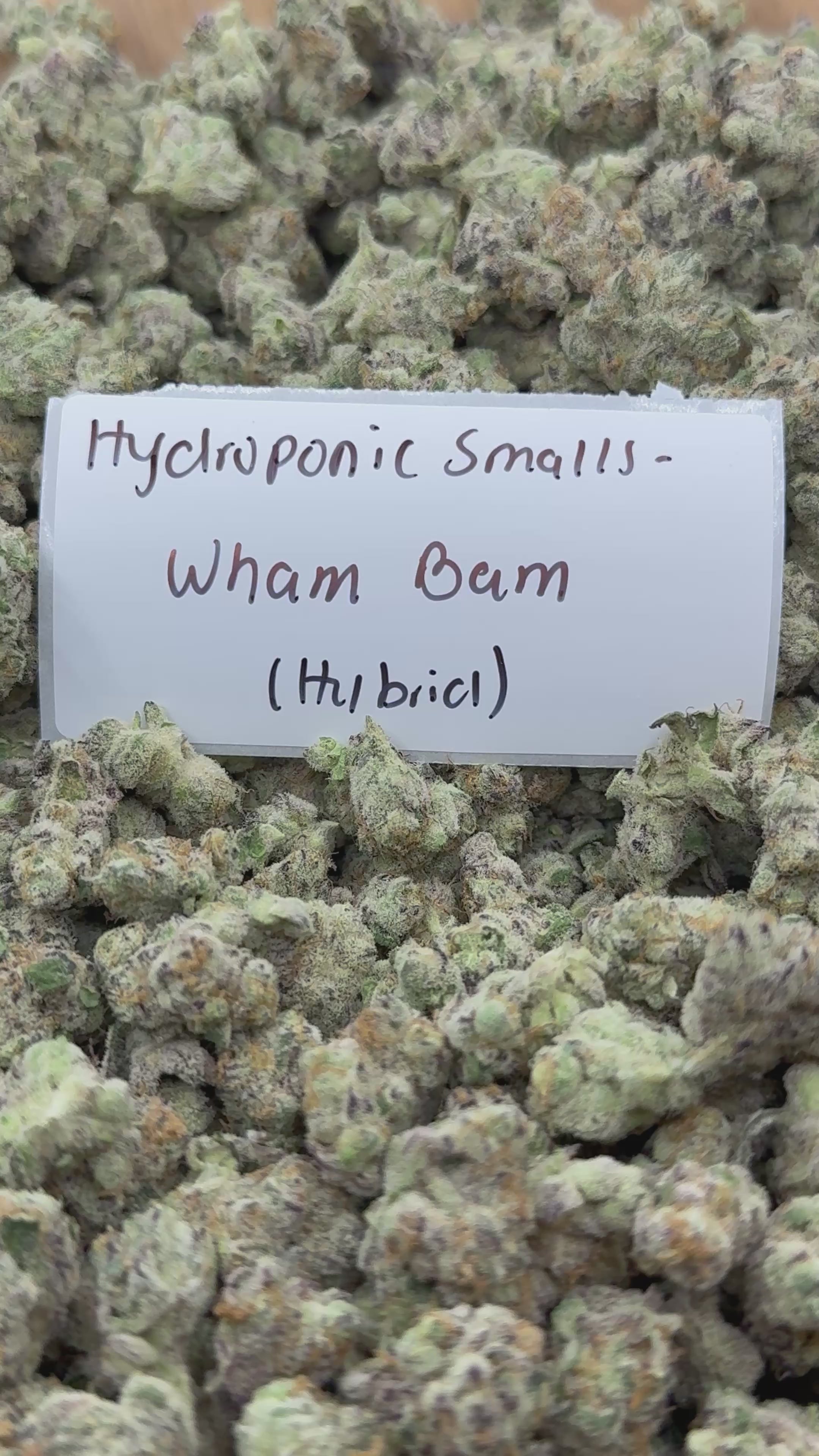 *SALE* SMALLS AND MEDIUMS (NO CODE NEEDED)