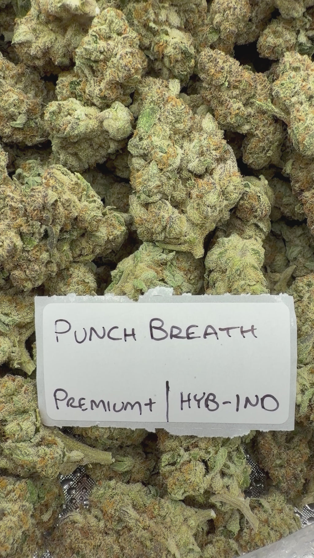 J Litty’s Weekly Deals!