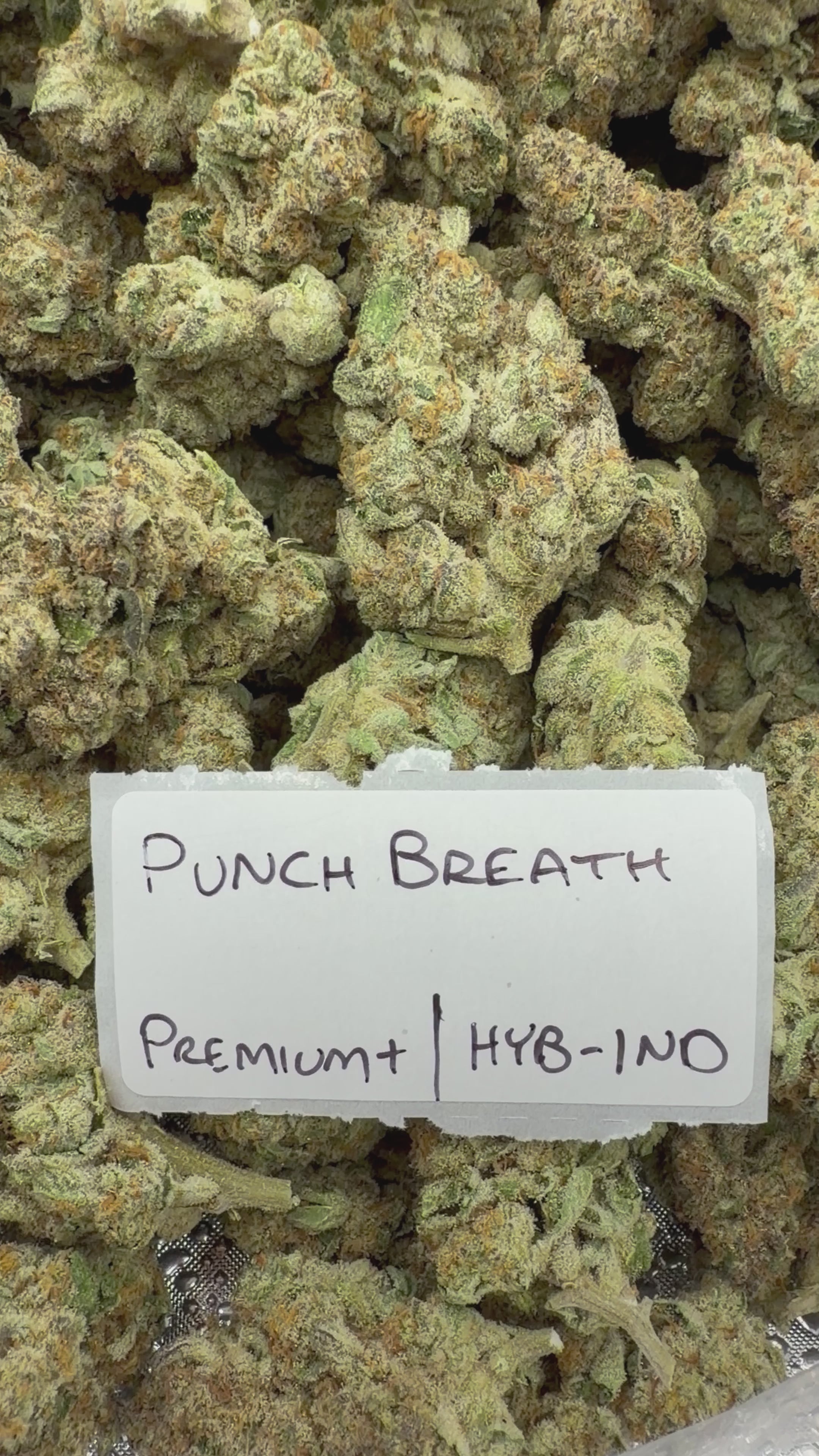 J Litty’s Weekly Deals!