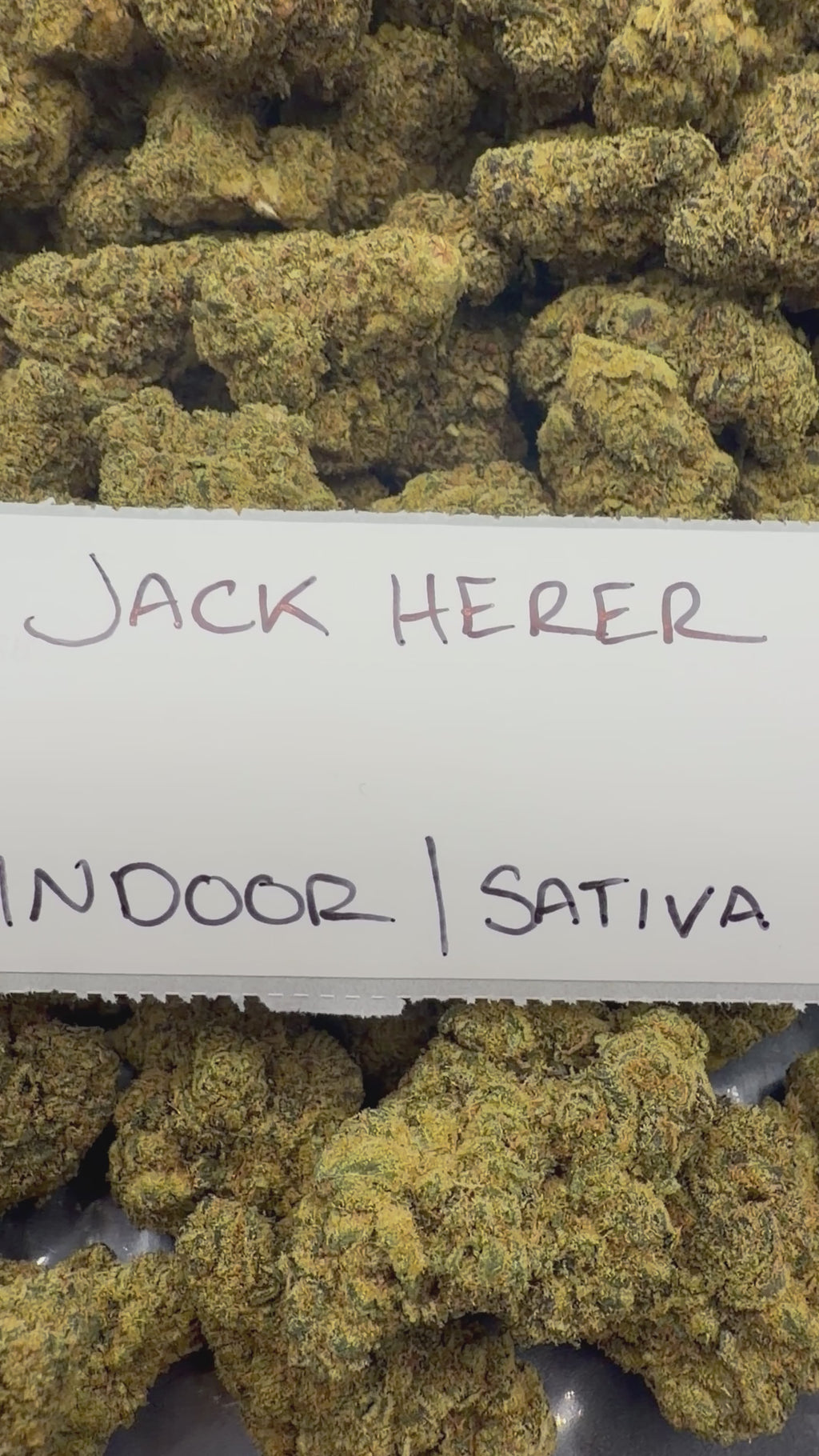 J Litty’s Weekly Deals!