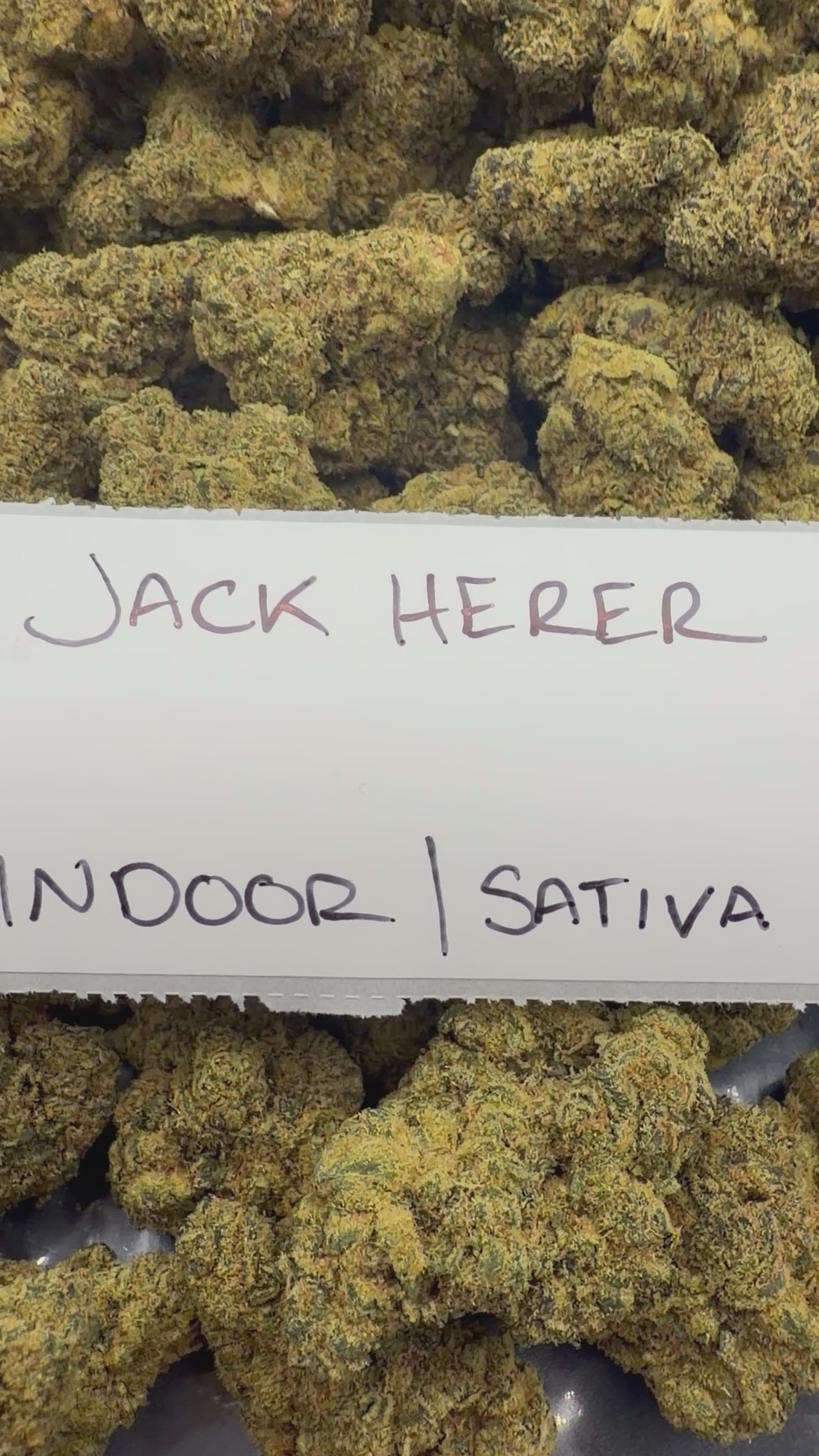 J Litty’s Weekly Deals!