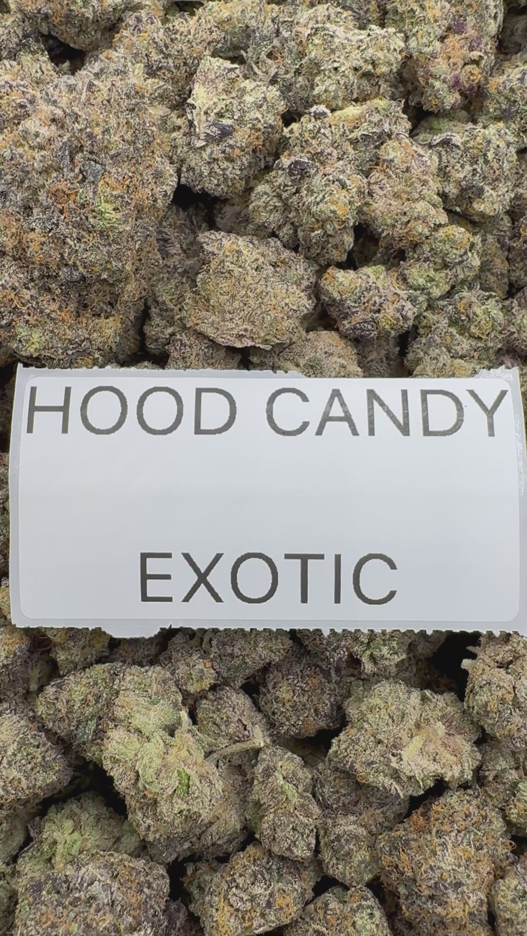 TOP SHELF EXOTICS