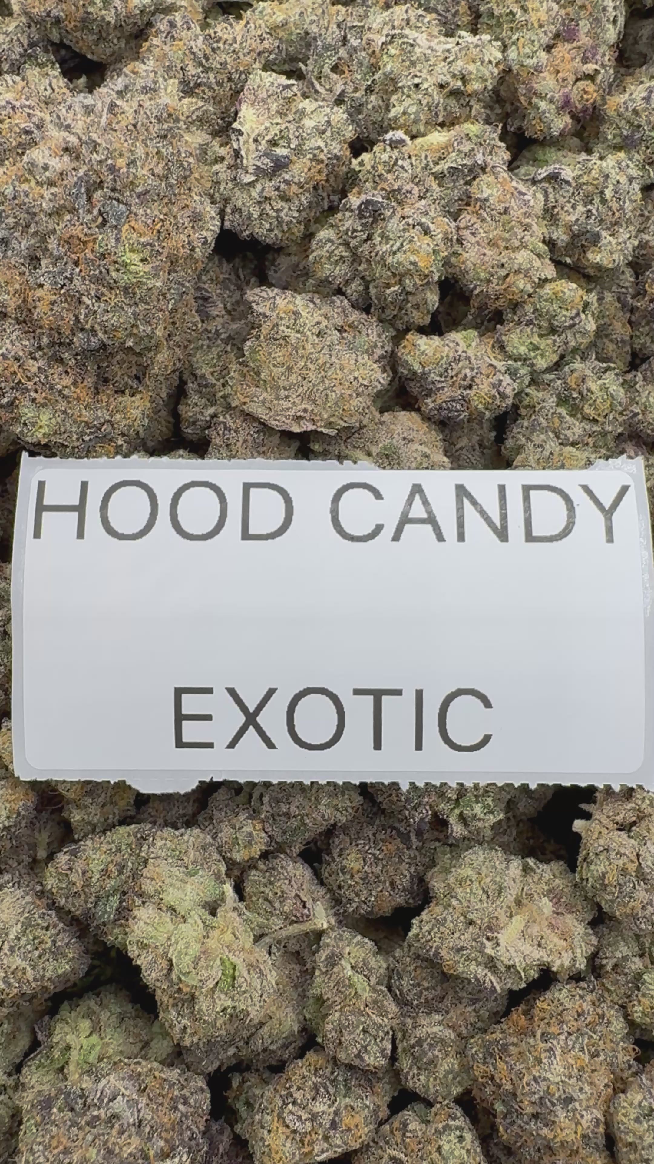 TOP SHELF EXOTICS