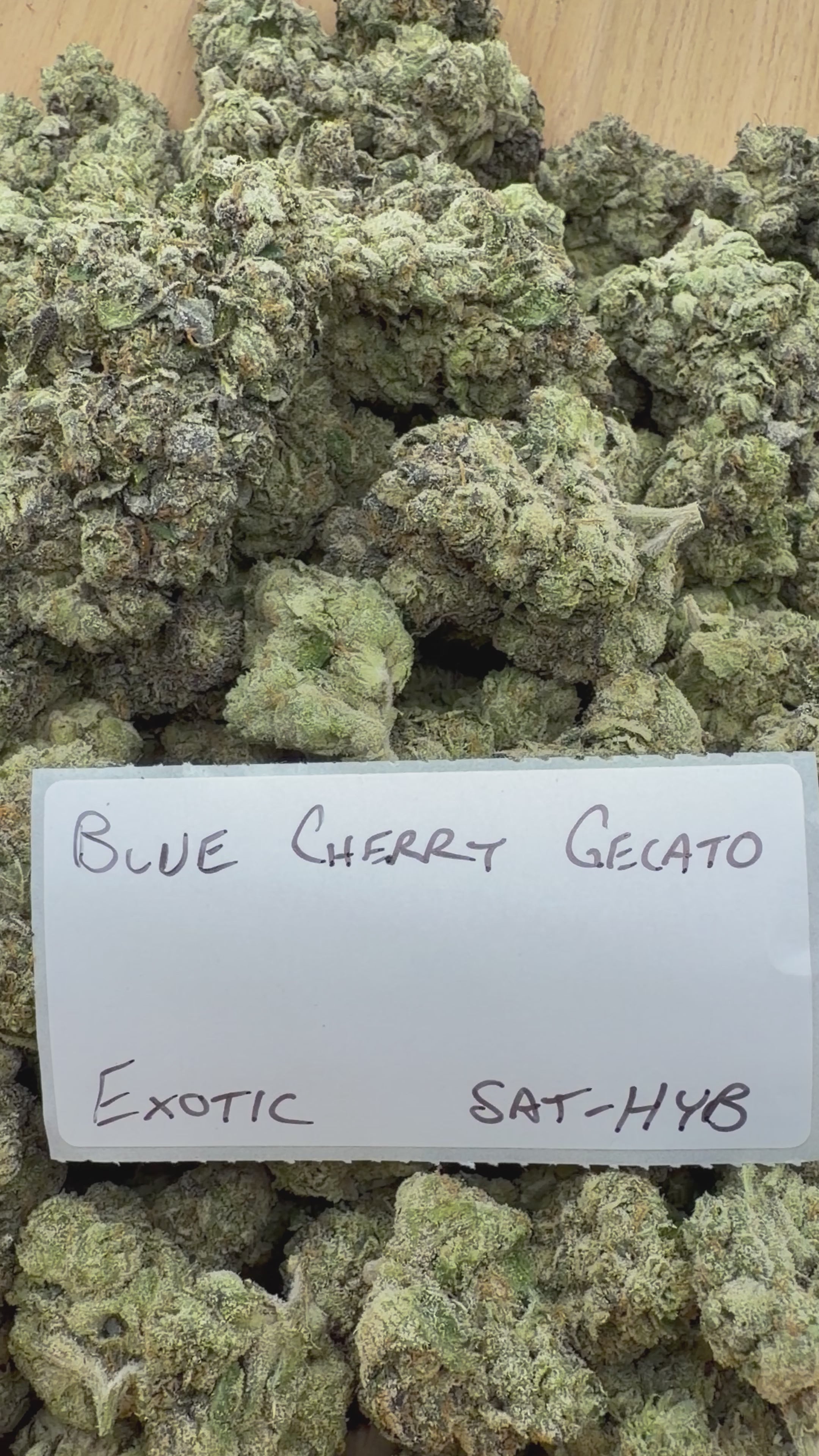 TOP SHELF EXOTICS