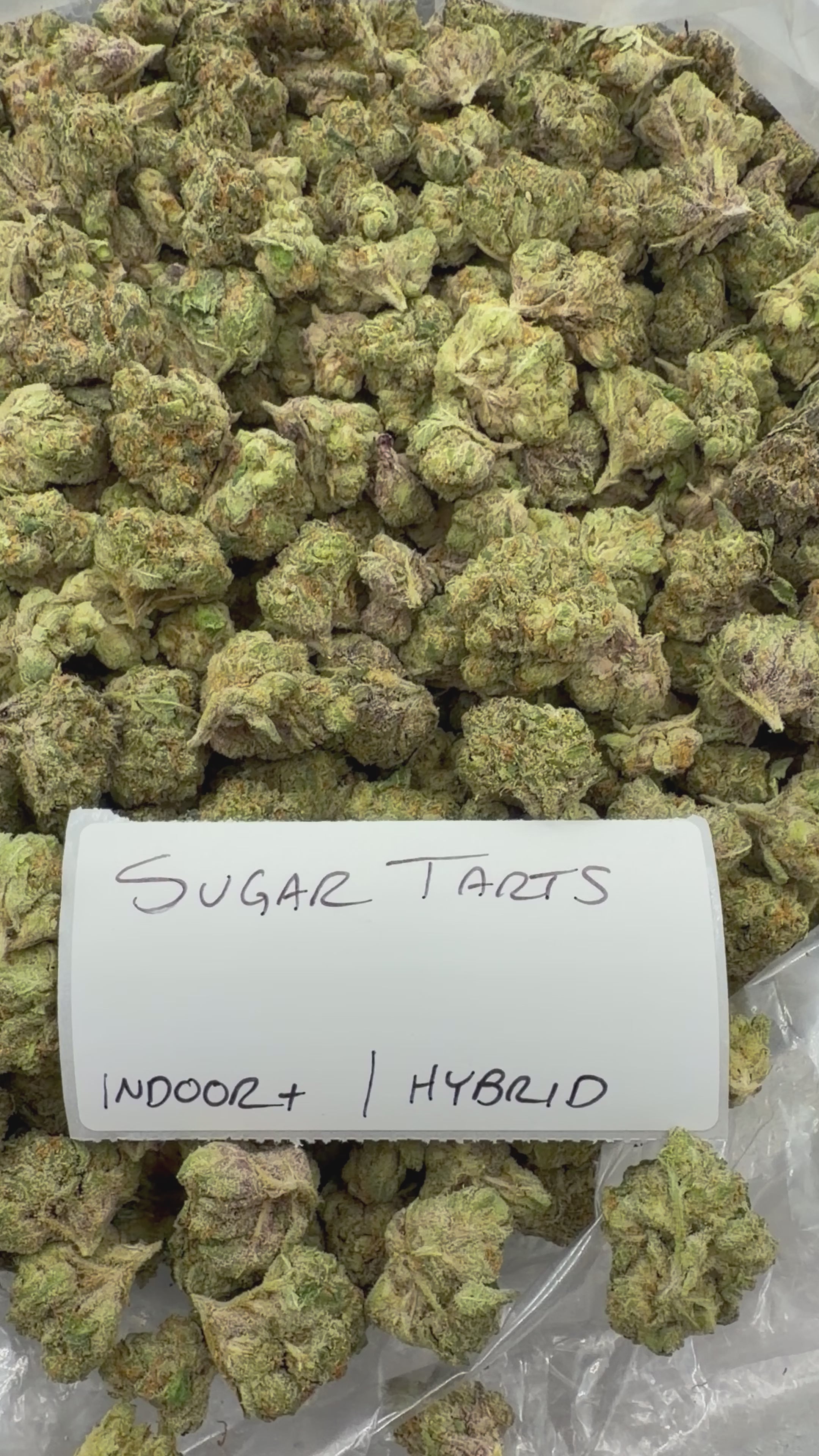 J Litty’s Weekly Deals!