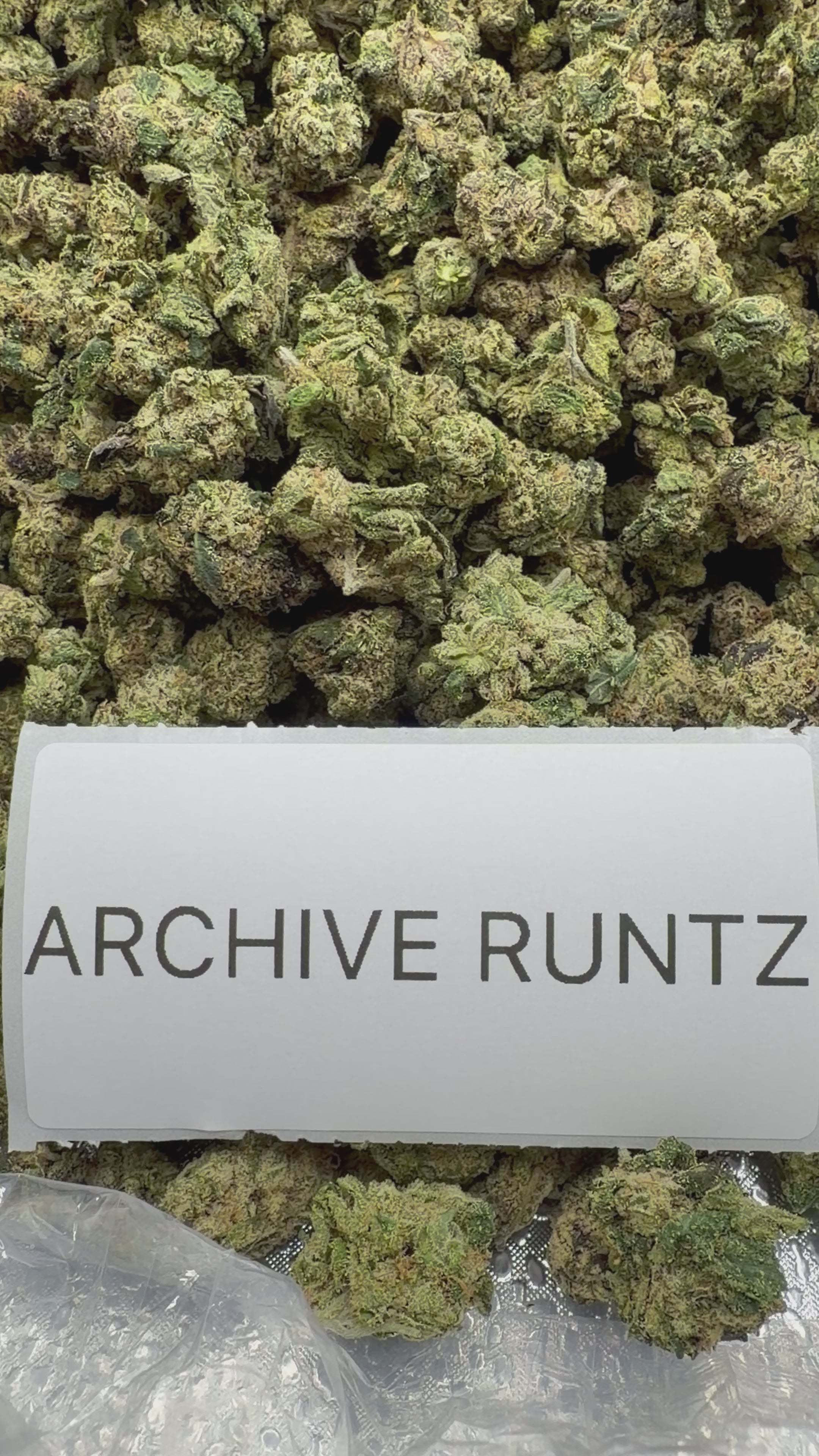 *SALE* SMALLS AND MEDIUMS