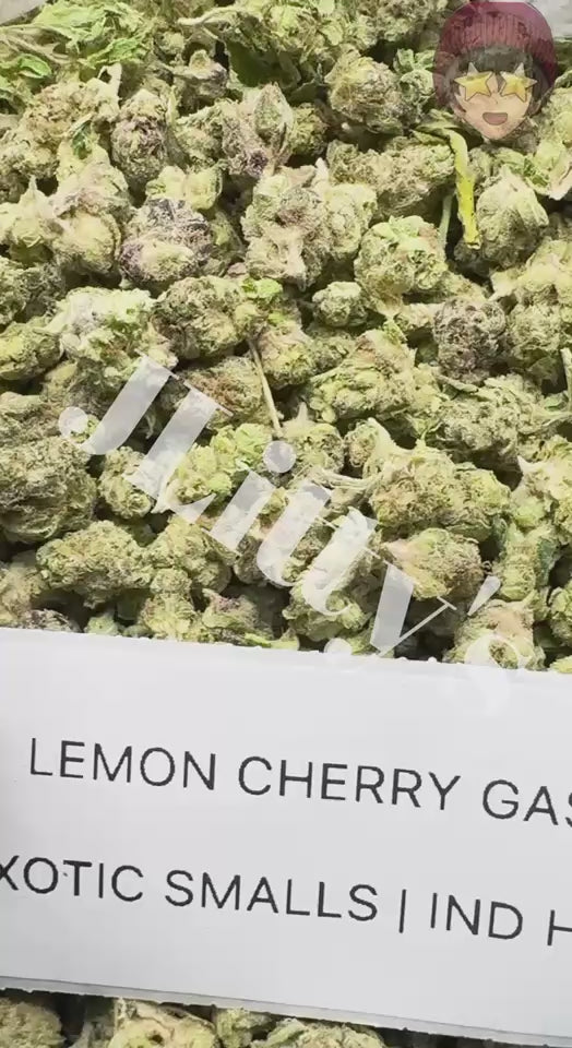 *SALE* SMALLS AND MEDIUMS