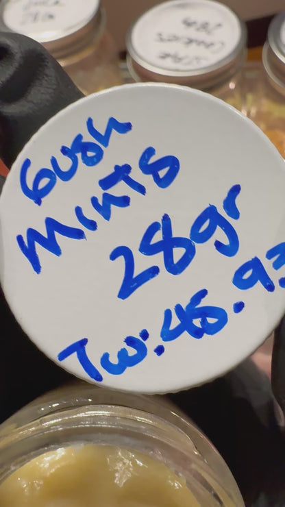 7/10 DAY Concentrate Specials