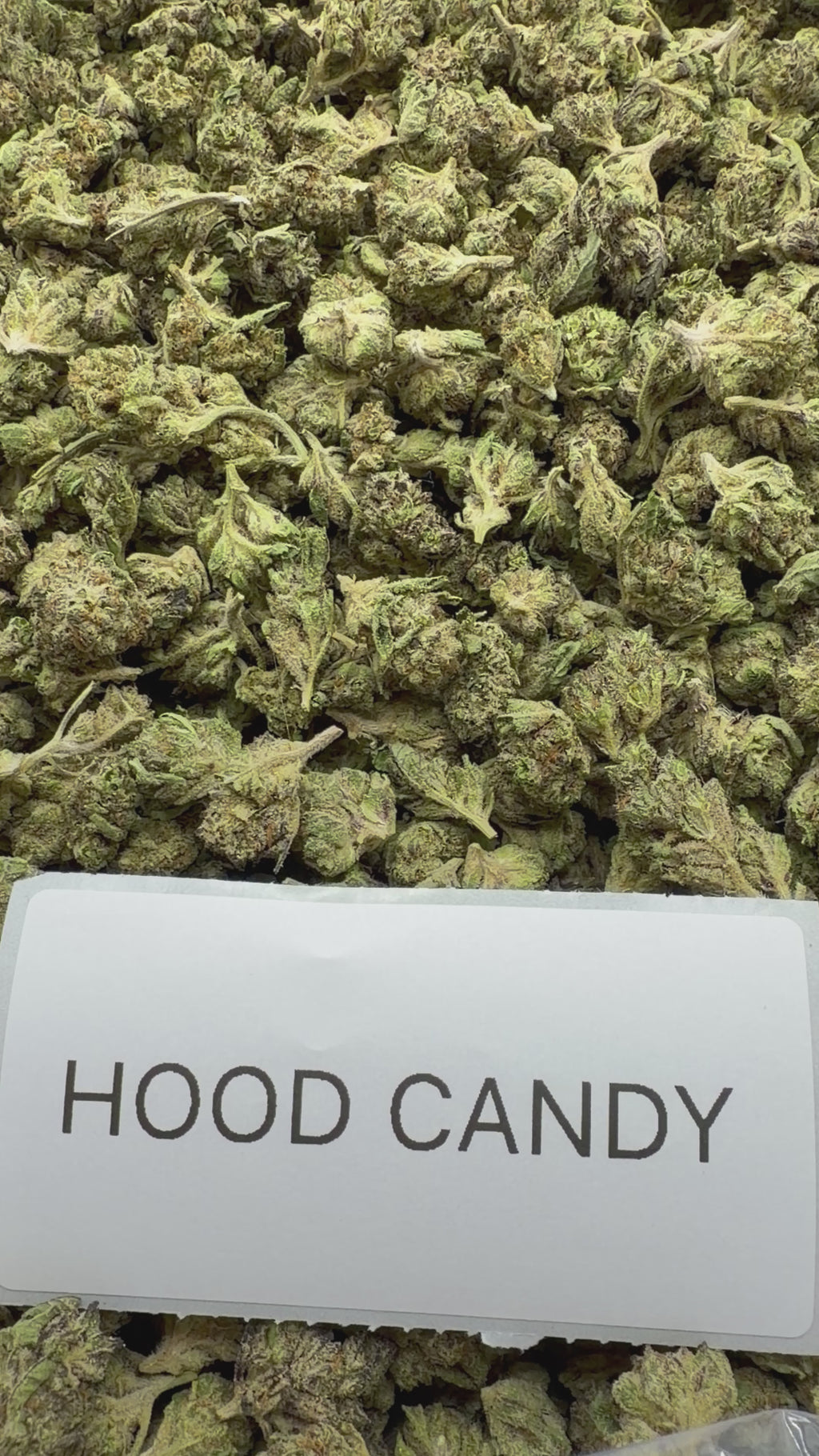 *SALE* SMALLS AND MEDIUMS