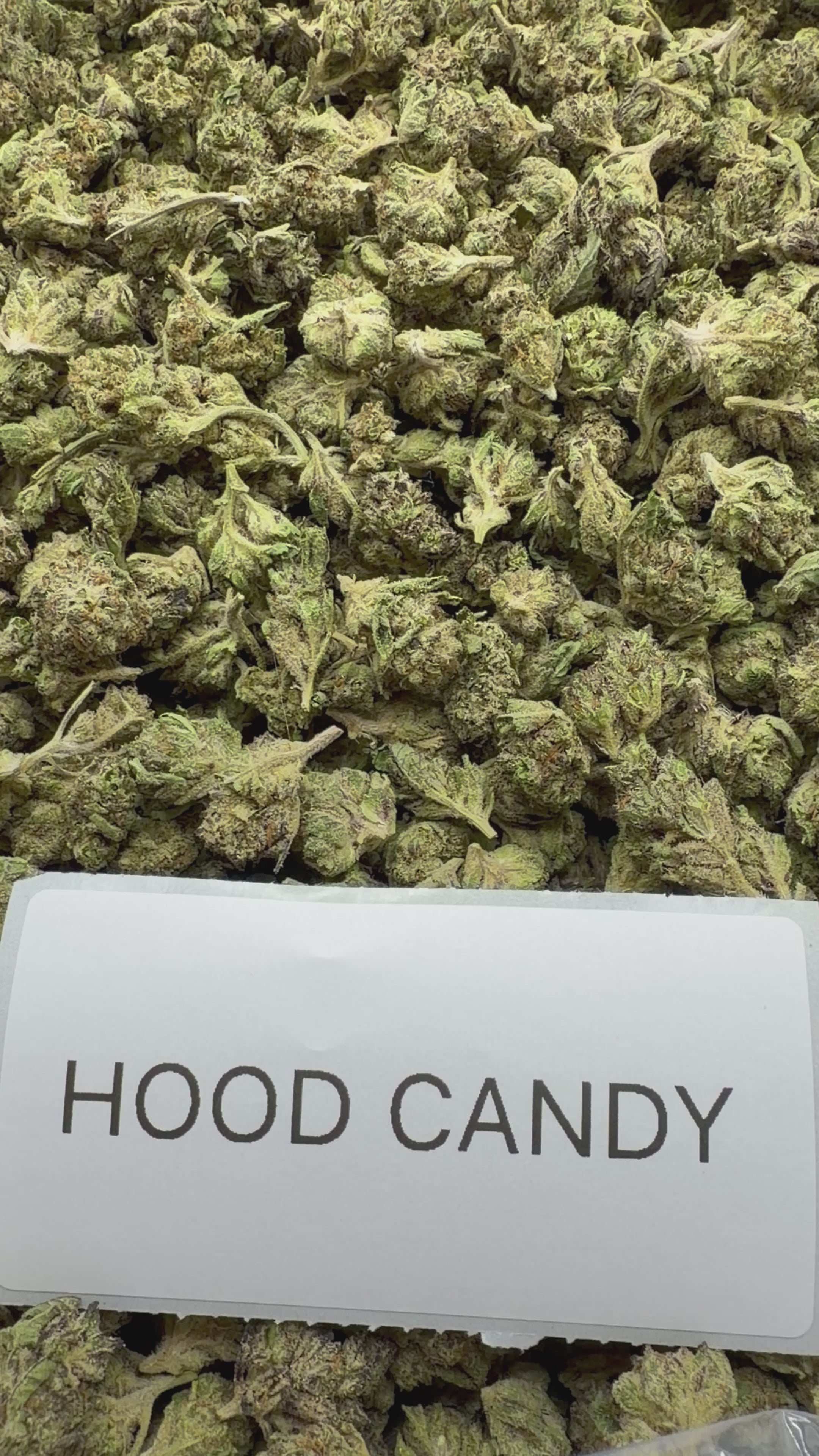 *SALE* SMALLS AND MEDIUMS