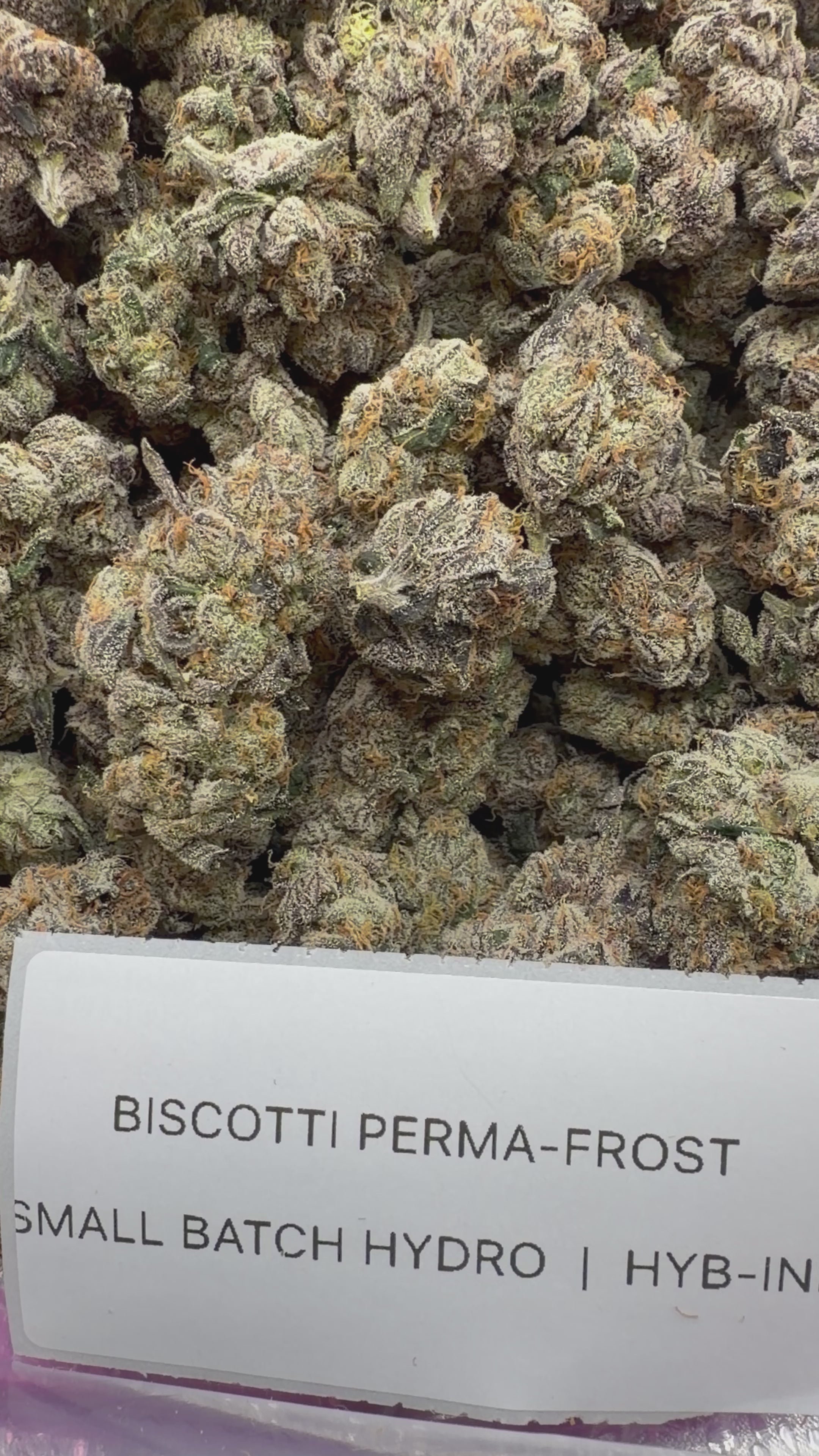 TOP SHELF EXOTICS