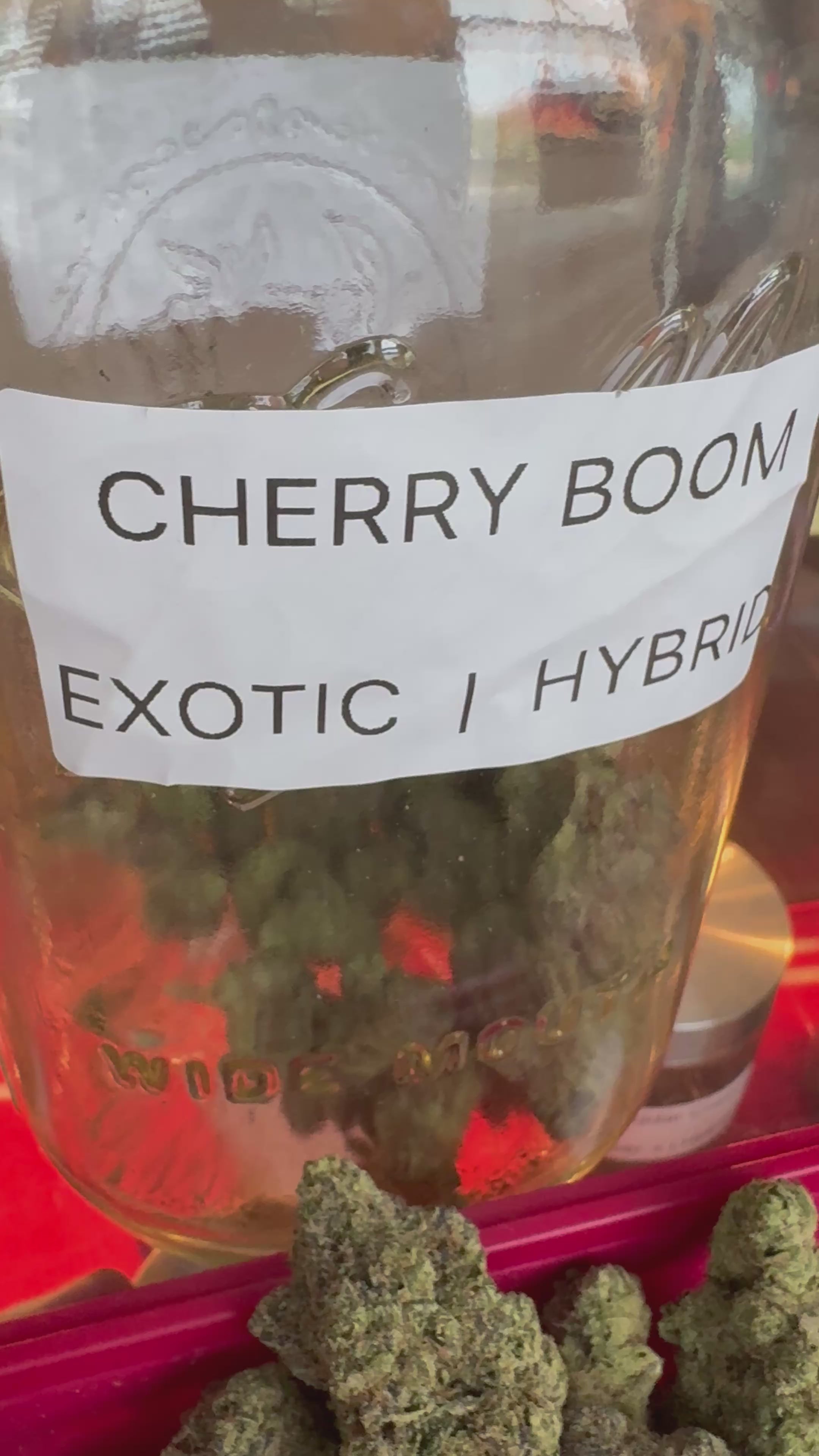 EXOTIC FLOWERS