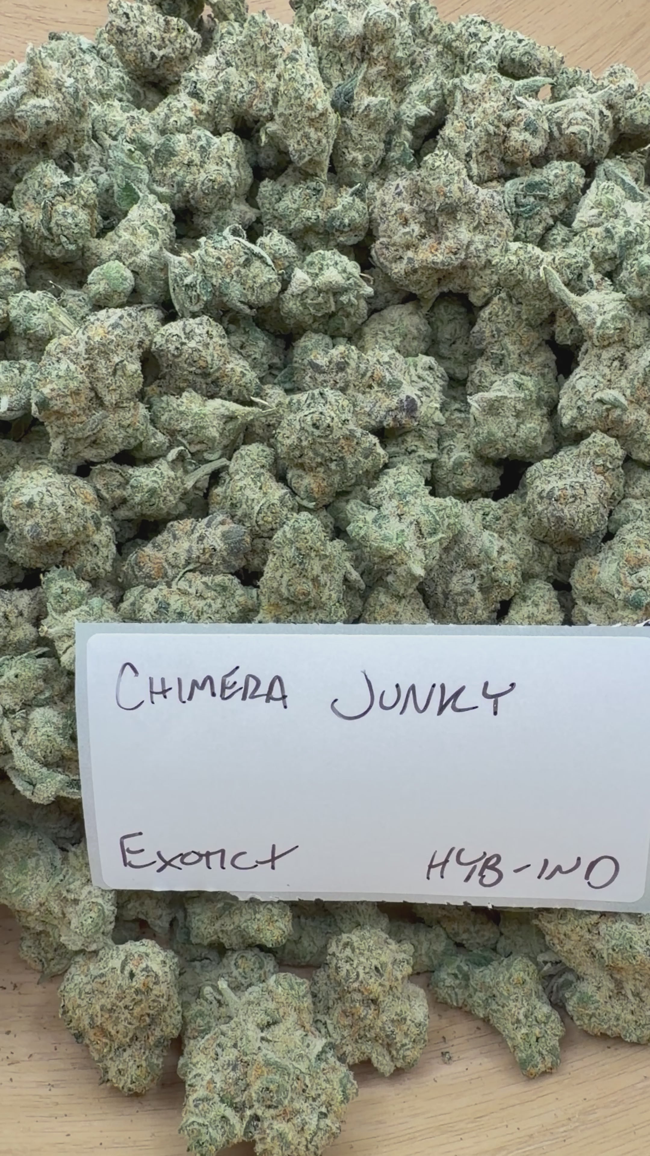 TOP SHELF EXOTICS