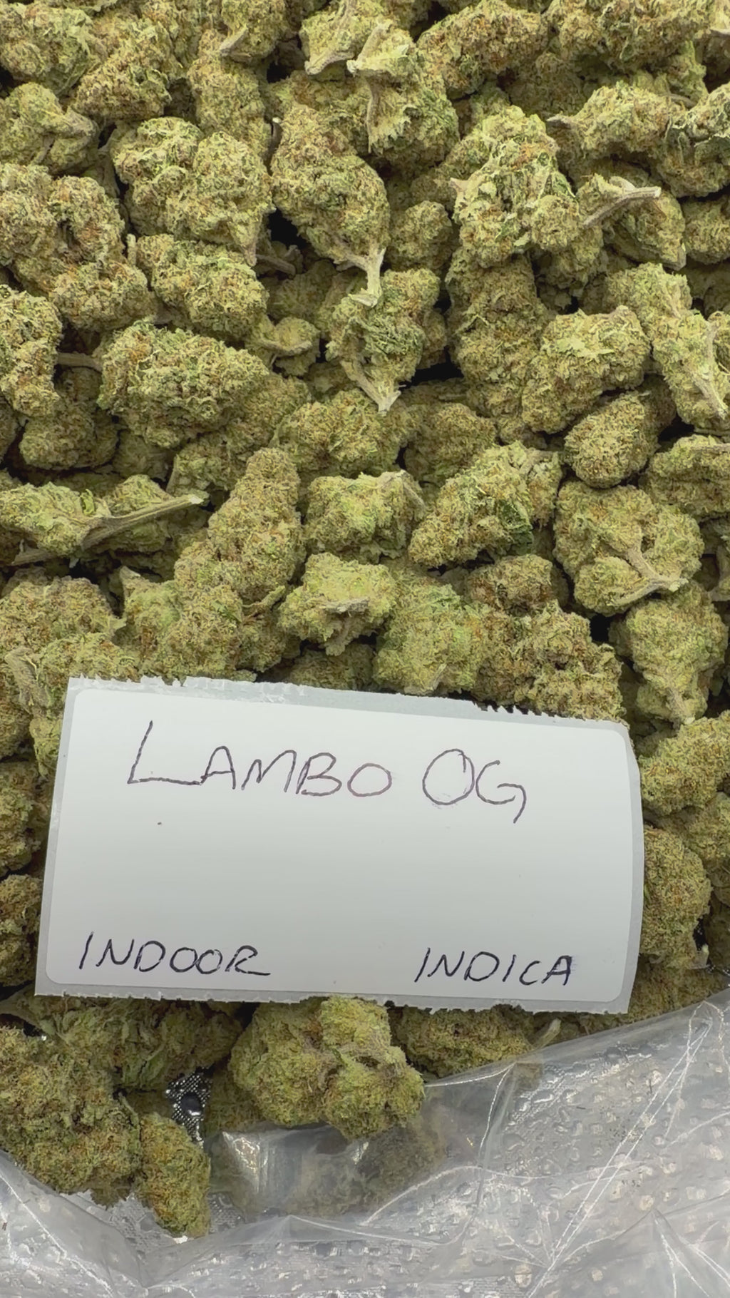 J Litty’s Weekly Deals!