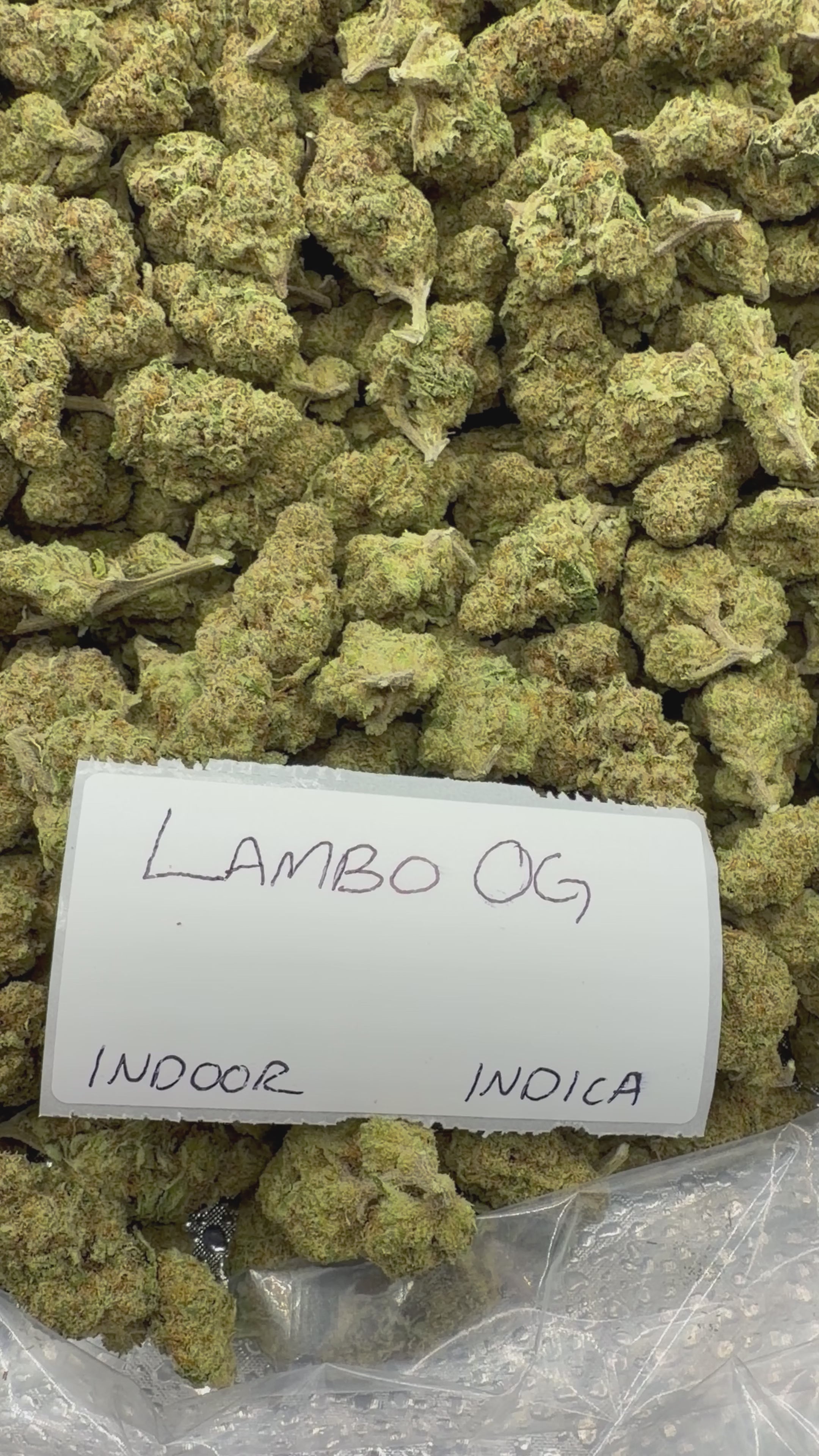 J Litty’s Weekly Deals!