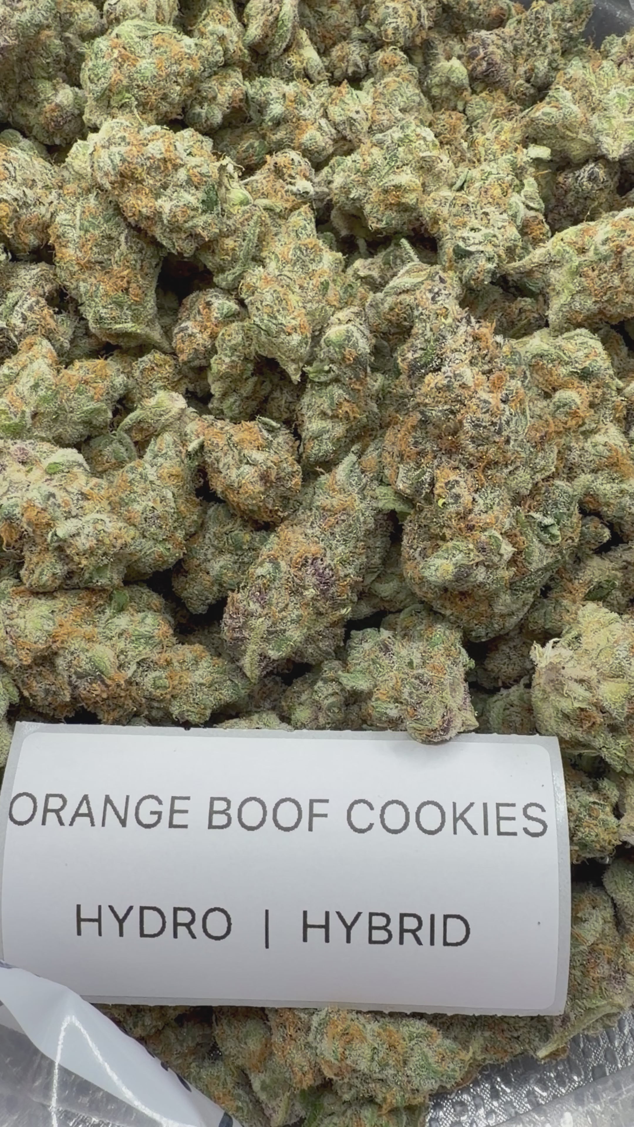 TOP SHELF EXOTICS