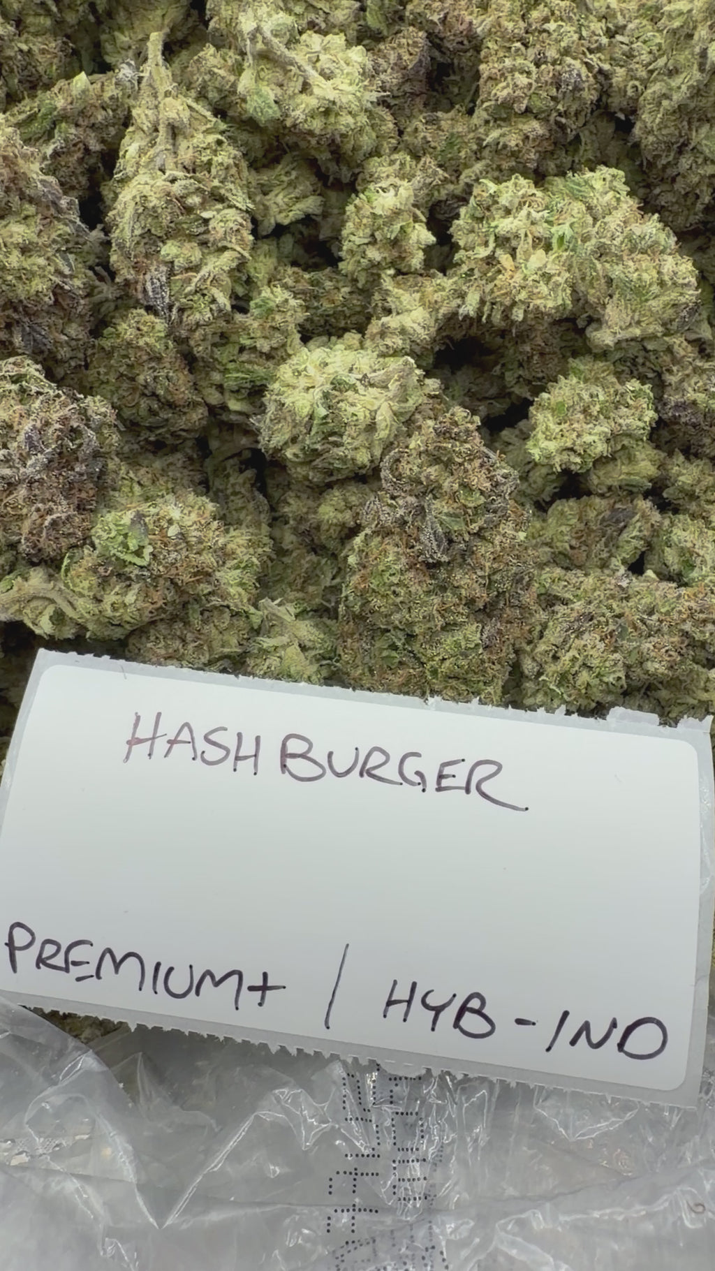 J Litty’s Weekly Deals!