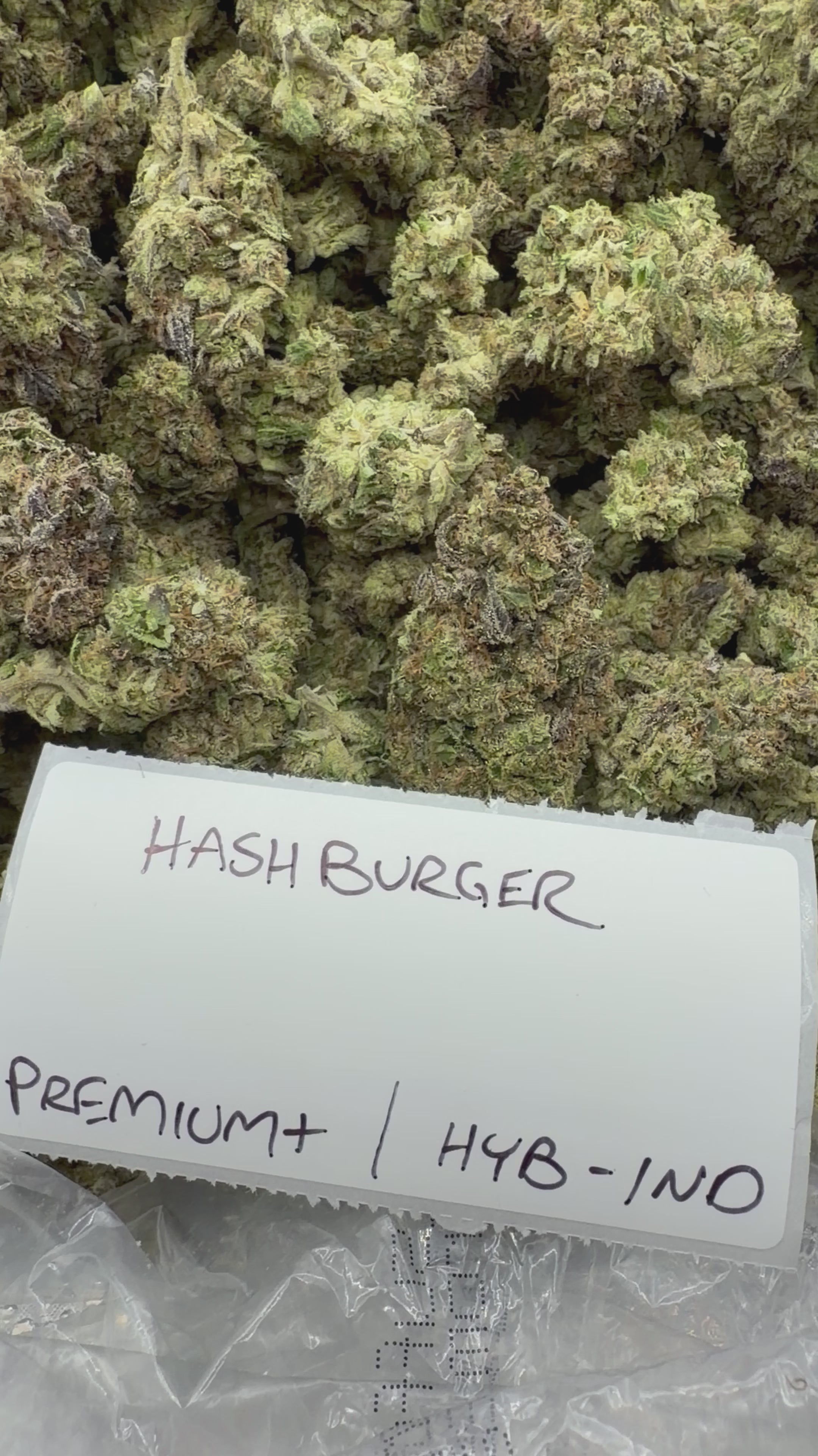 J Litty’s Weekly Deals!